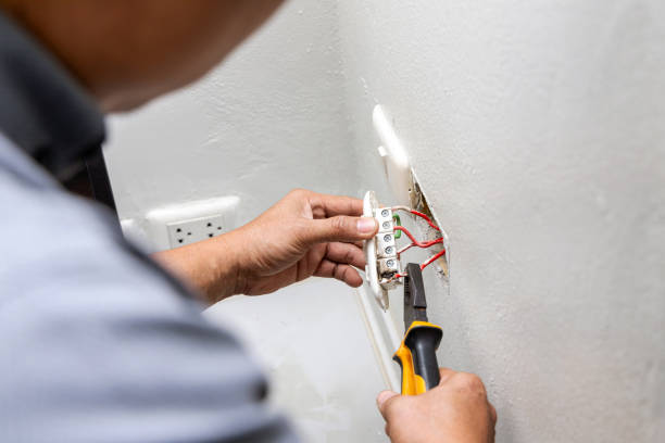 Best Electric Panel Repair  in Dixon Lane Meadow Creek, CA